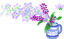 ũ 